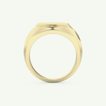 Signet Lab Grown Diamond Wedding Band For Men 5