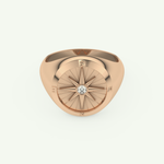 0.04 CT Round Shaped Compass Lab-Grown Diamond Wedding Band For Men 7