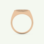 0.04 CT Round Shaped Compass Lab-Grown Diamond Wedding Band For Men 11
