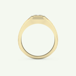 0.381 CT Round & Princess Shaped Patterned Lab Grown Diamond Wedding Band For Men 5