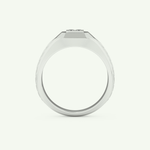 0.381 CT Round & Princess Shaped Patterned Lab Grown Diamond Wedding Band For Men 17