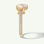 3 CT Heart Cut Hidden Halo & Pave Lab Grown Diamond Engagement Ring 4