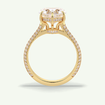 3 CT Heart Cut Hidden Halo & Pave Lab Grown Diamond Engagement Ring 7