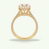 3 CT Heart Cut Hidden Halo & Pave Lab Grown Diamond Engagement Ring 7