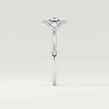 2.0 CT Princess Cut Half Bezel Lab-Grown Diamond Engagement Ring 16