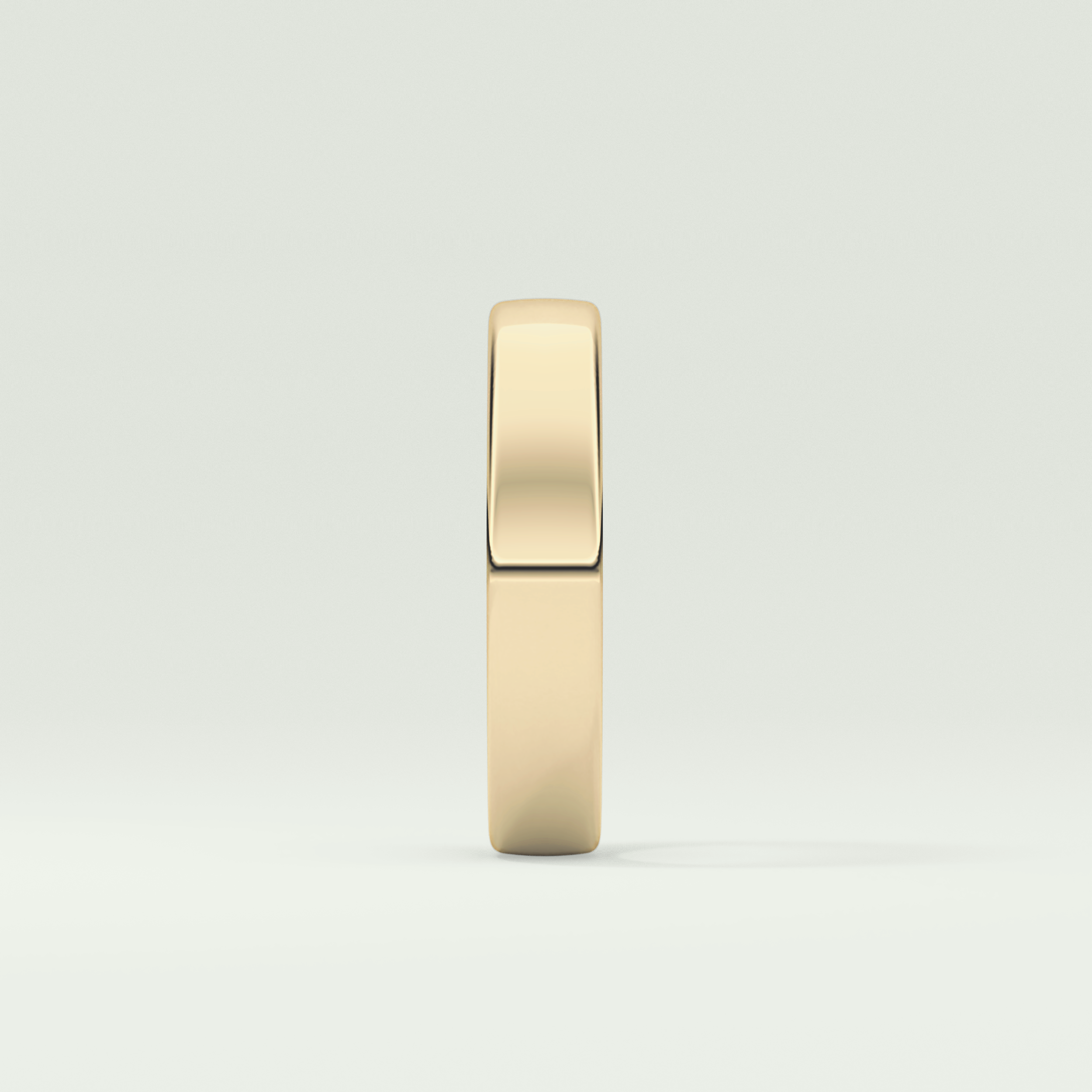 Classic Charm Shank Wedding Band
