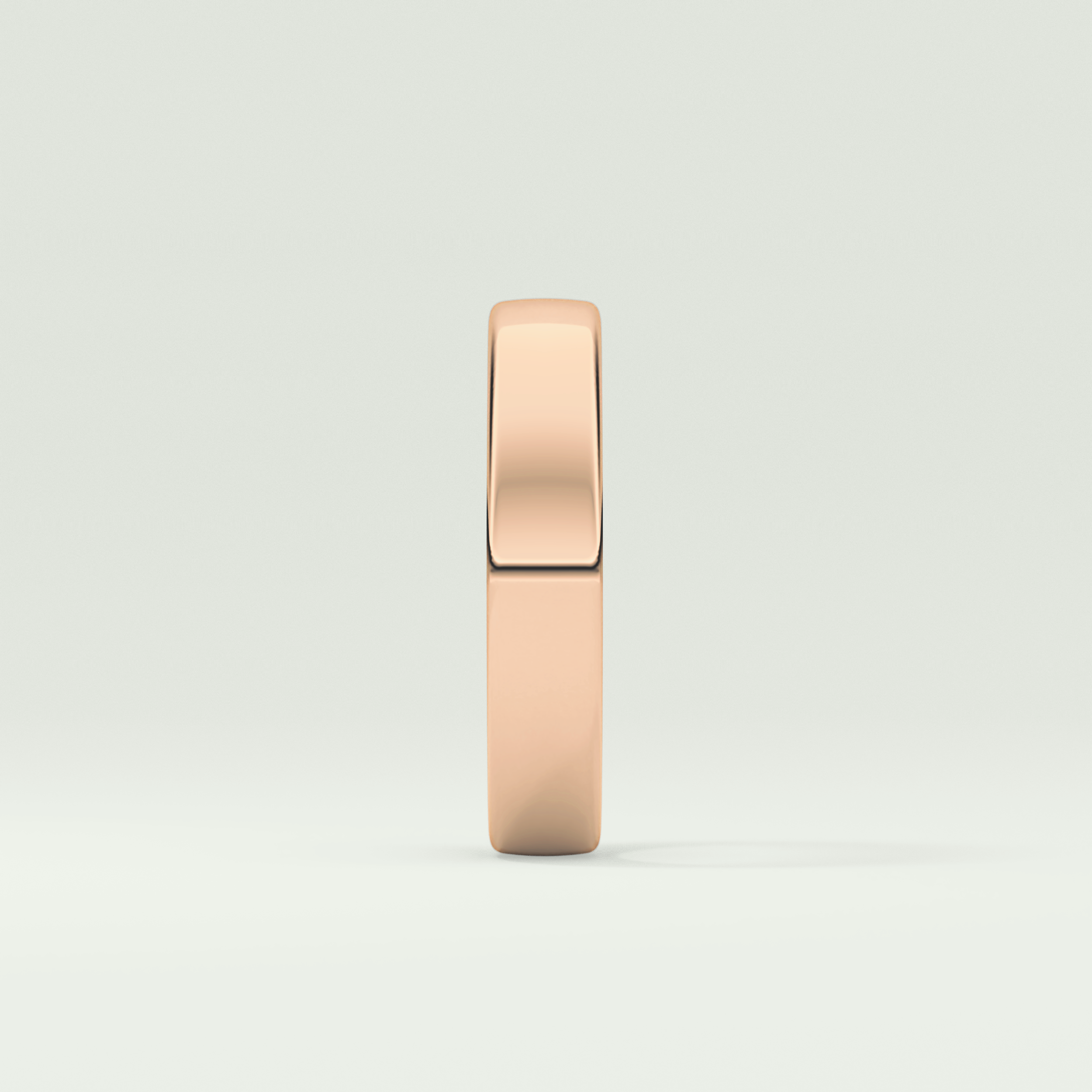 Classic Charm Shank Wedding Band