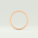 Classic Charm Shank Wedding Band