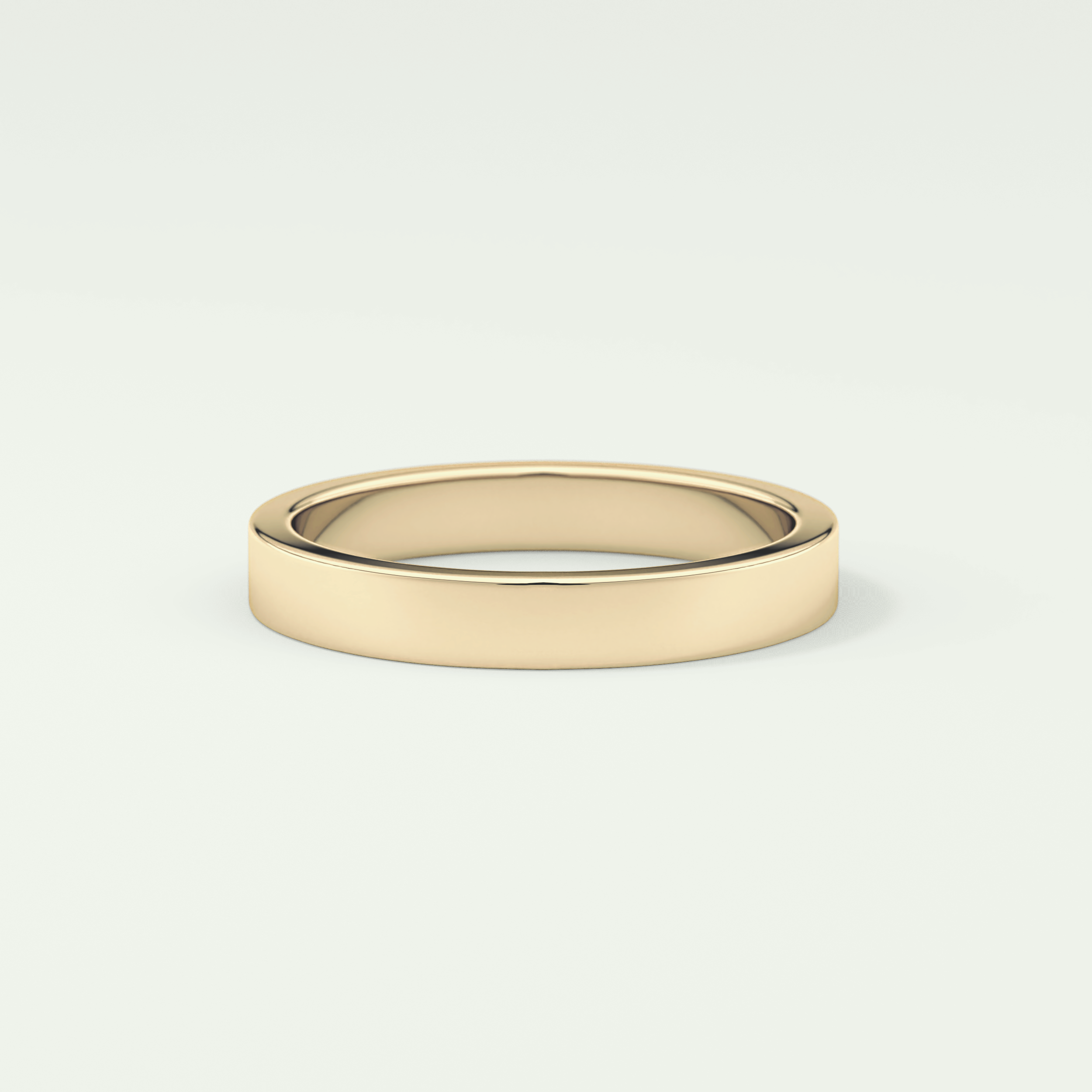 Solid Classic Shank Wedding Band