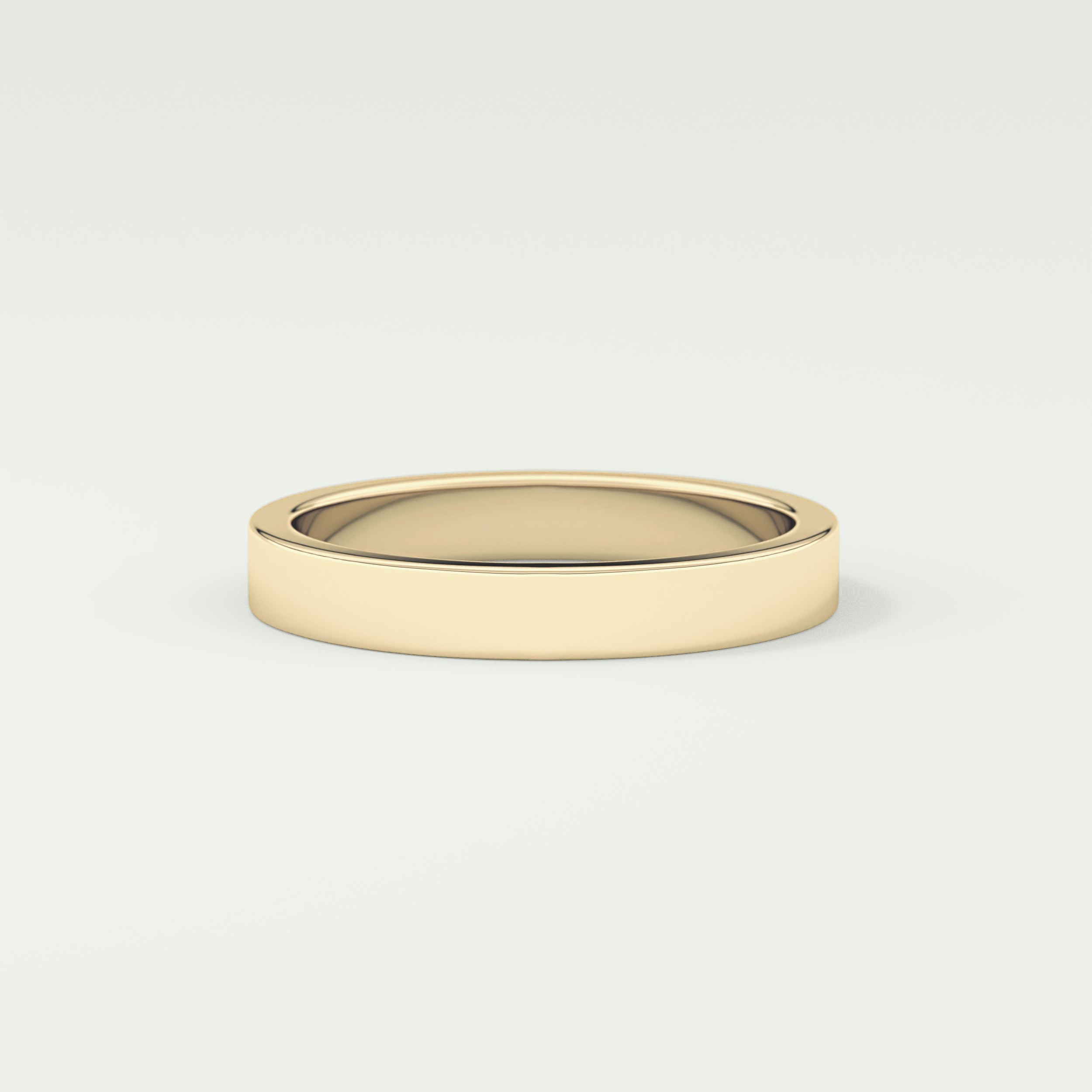 Solid Classic Shank Wedding Band