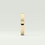 Solid Classic Shank Wedding Band