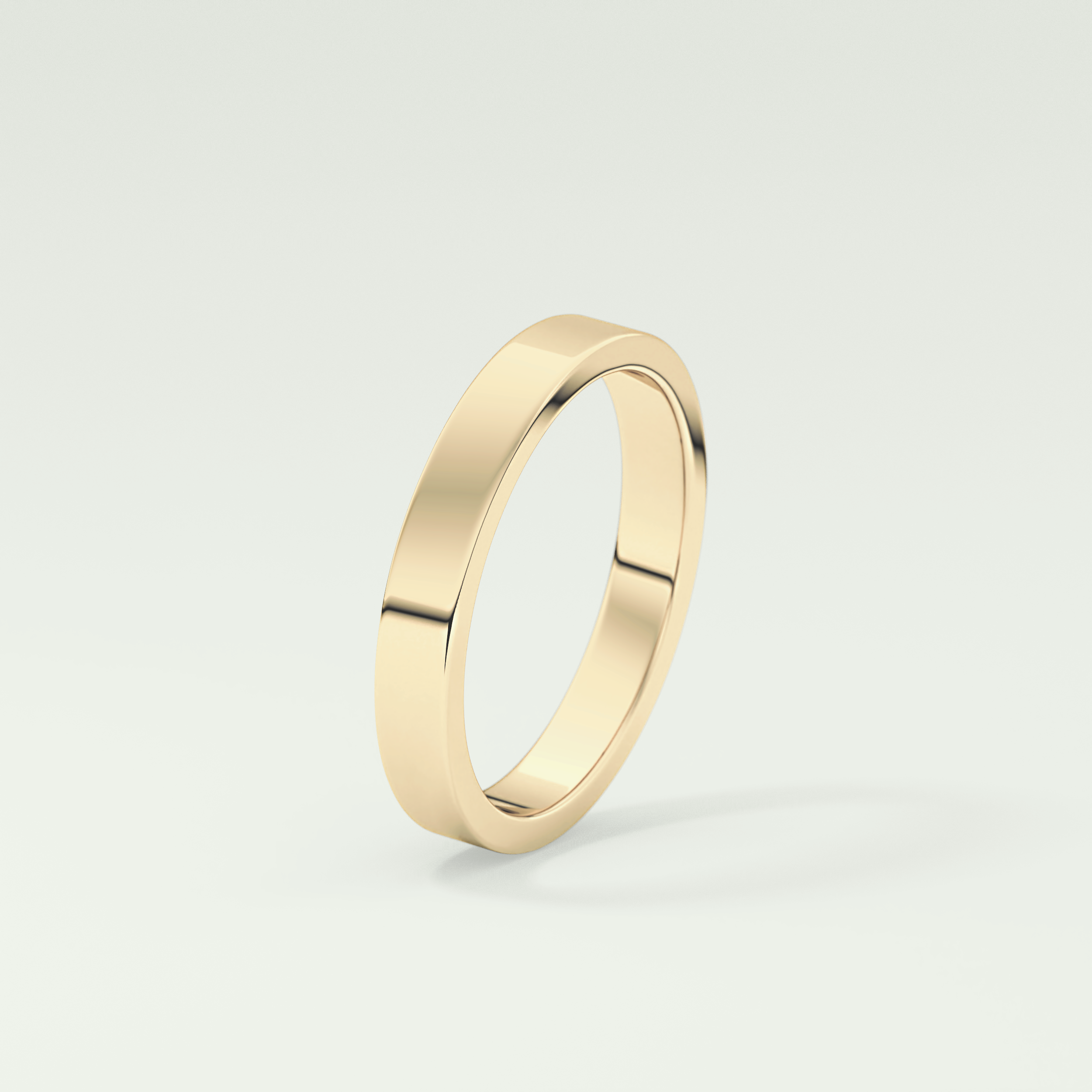 Solid Classic Shank Wedding Band