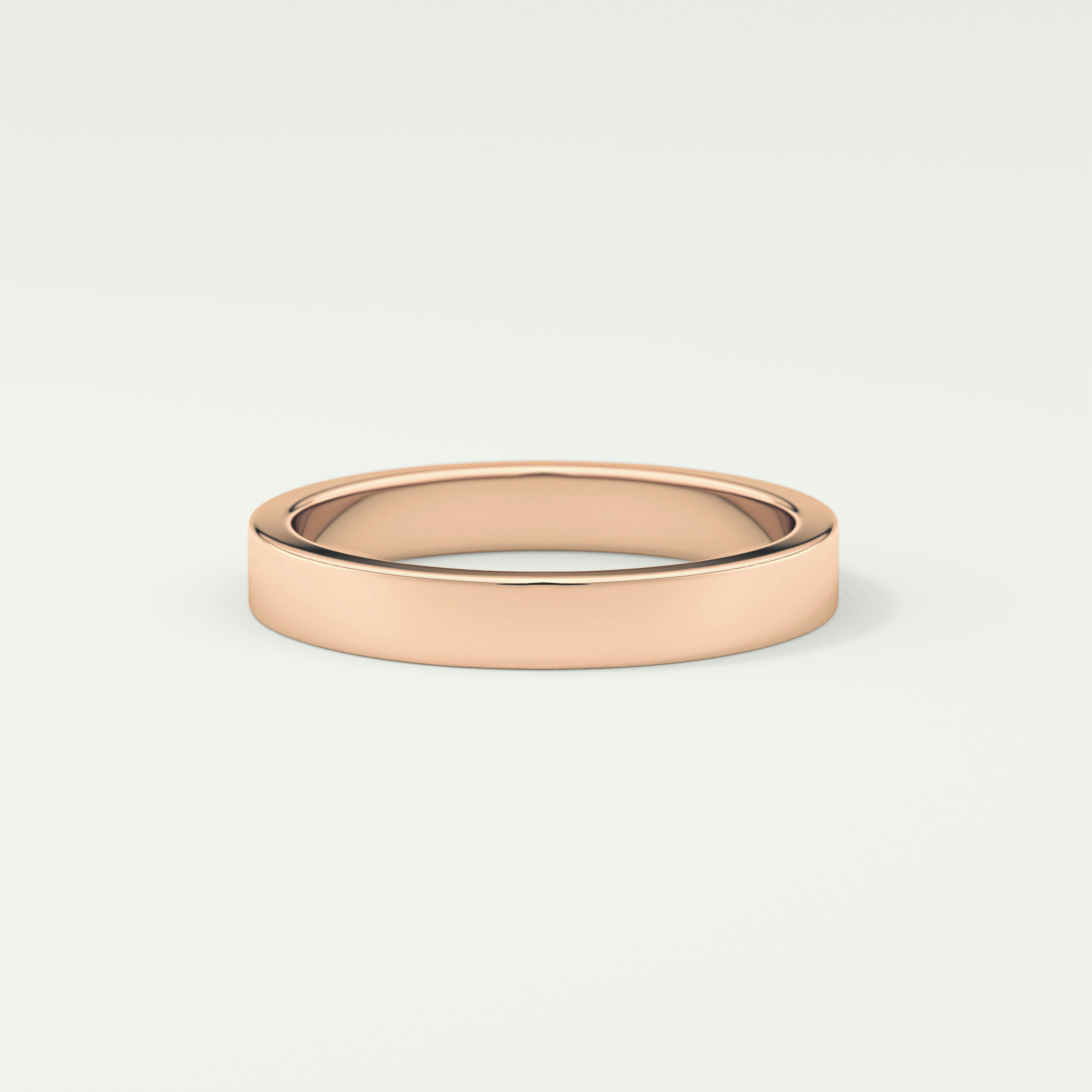 Solid Classic Shank Wedding Band