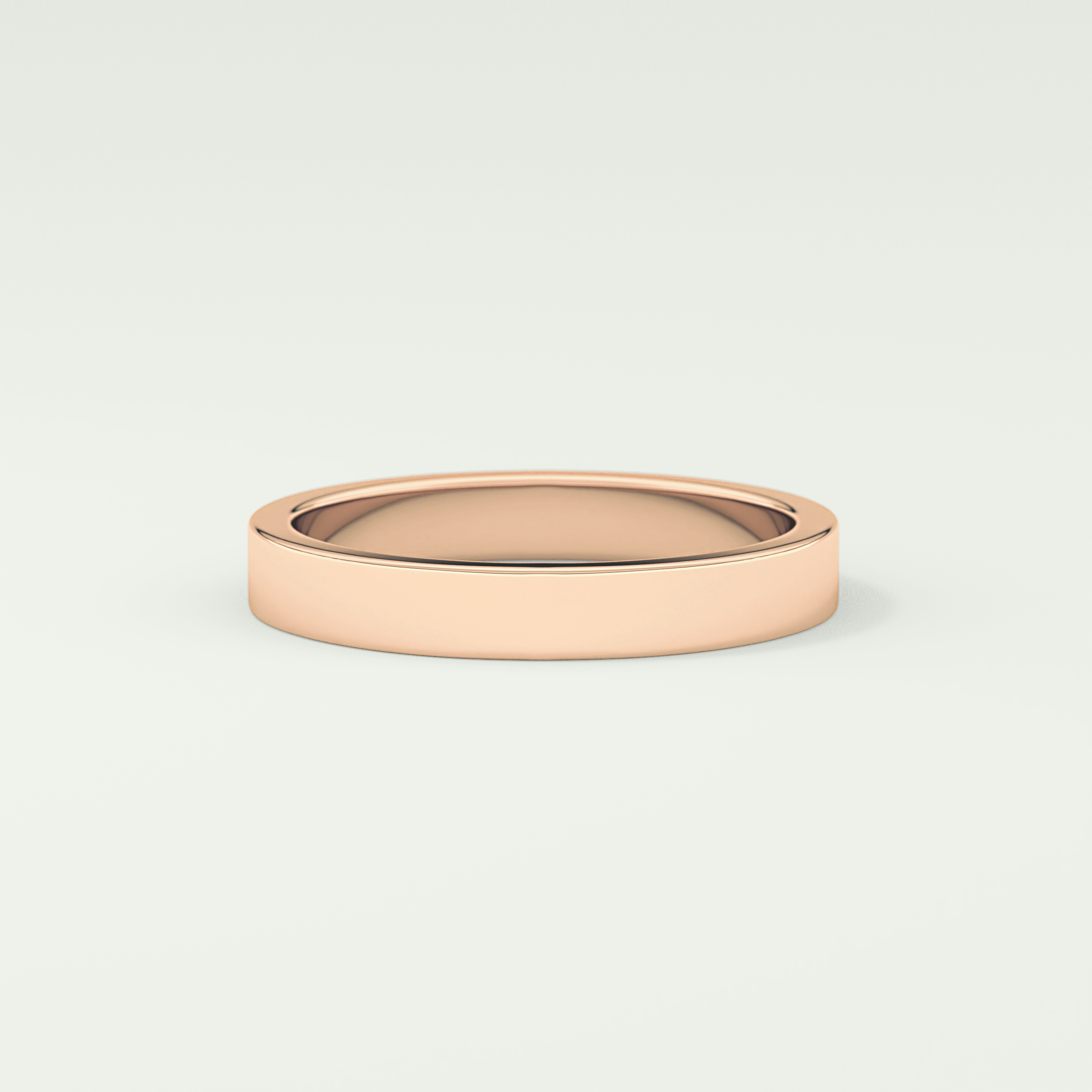 Solid Classic Shank Wedding Band