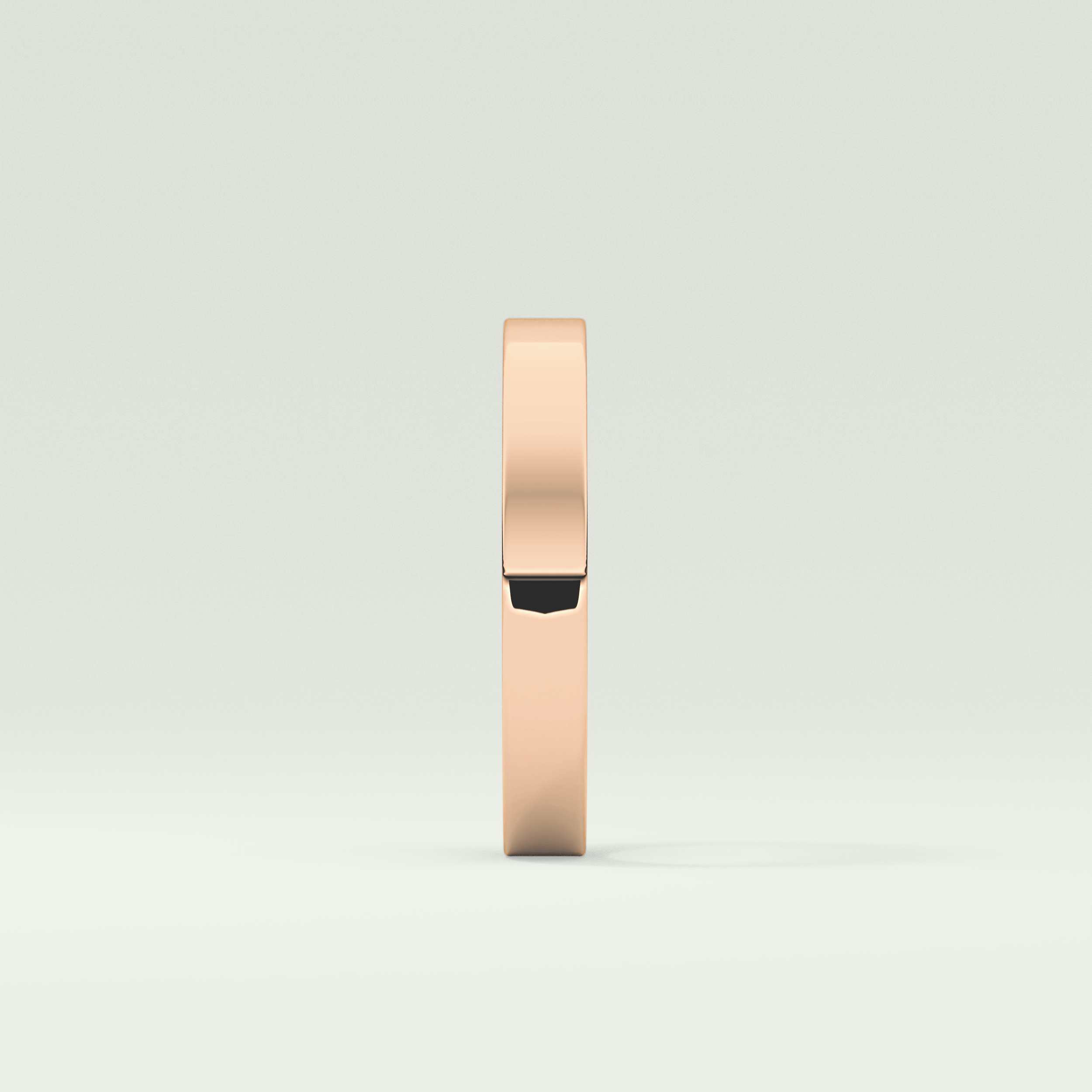 Solid Classic Shank Wedding Band