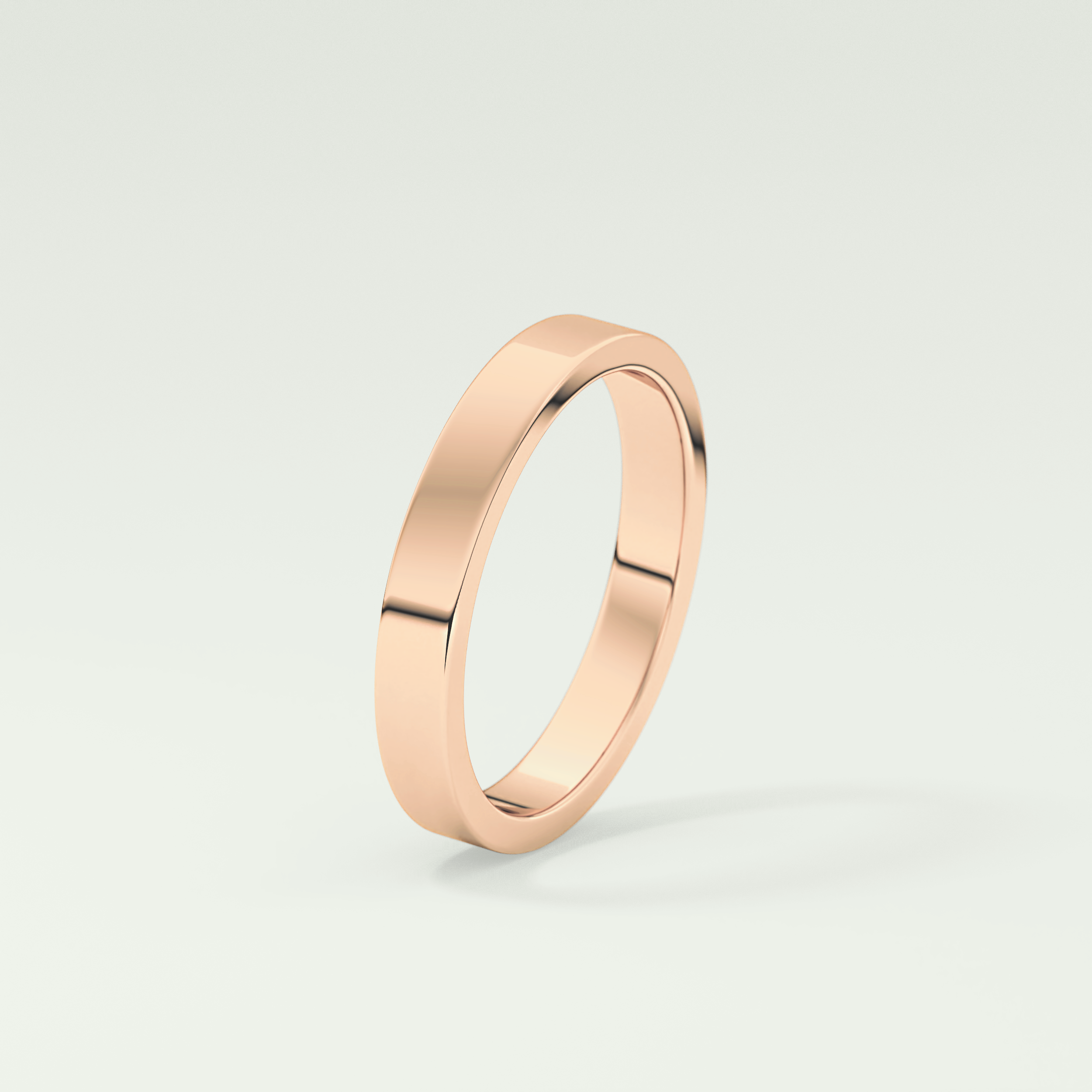 Solid Classic Shank Wedding Band