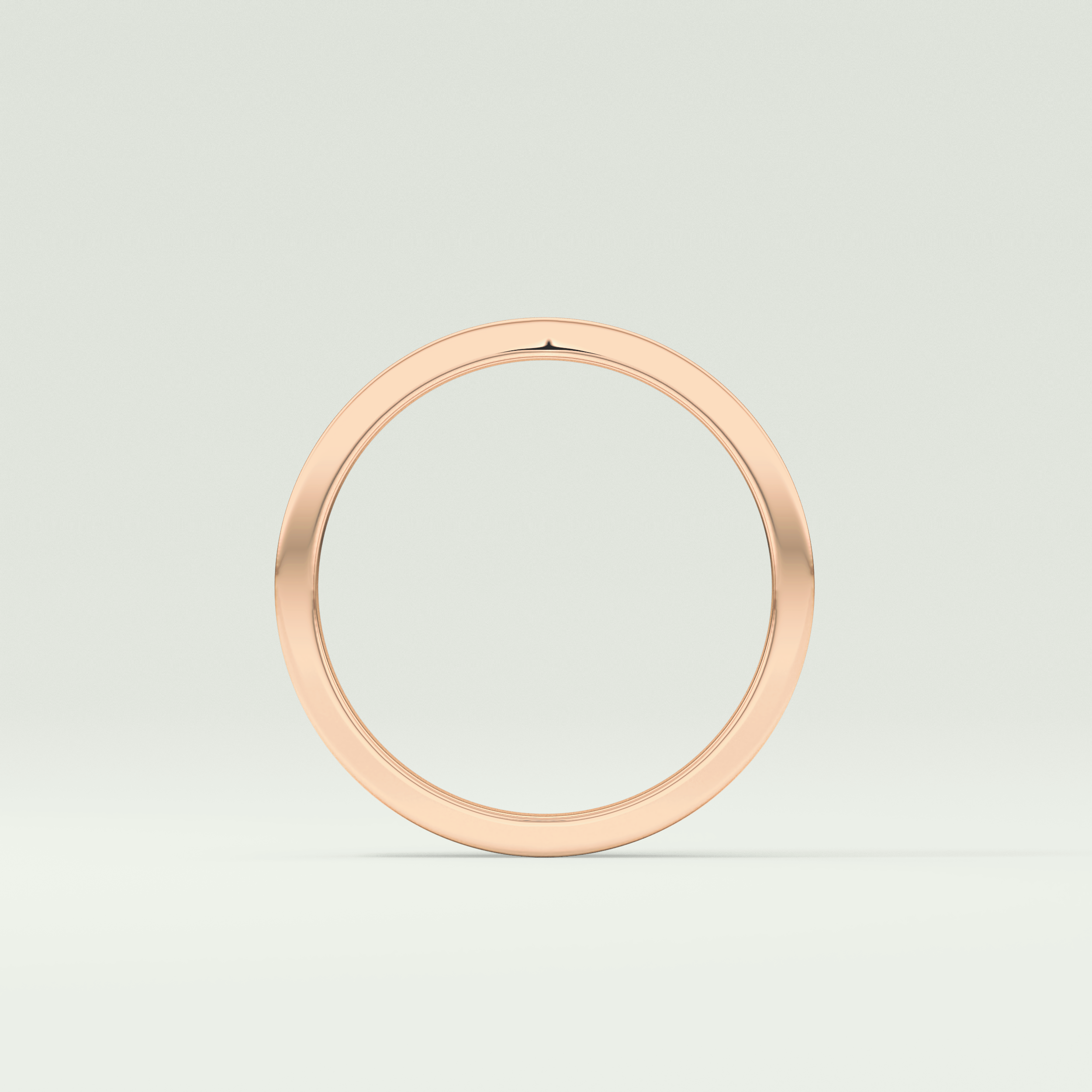 Solid Classic Shank Wedding Band
