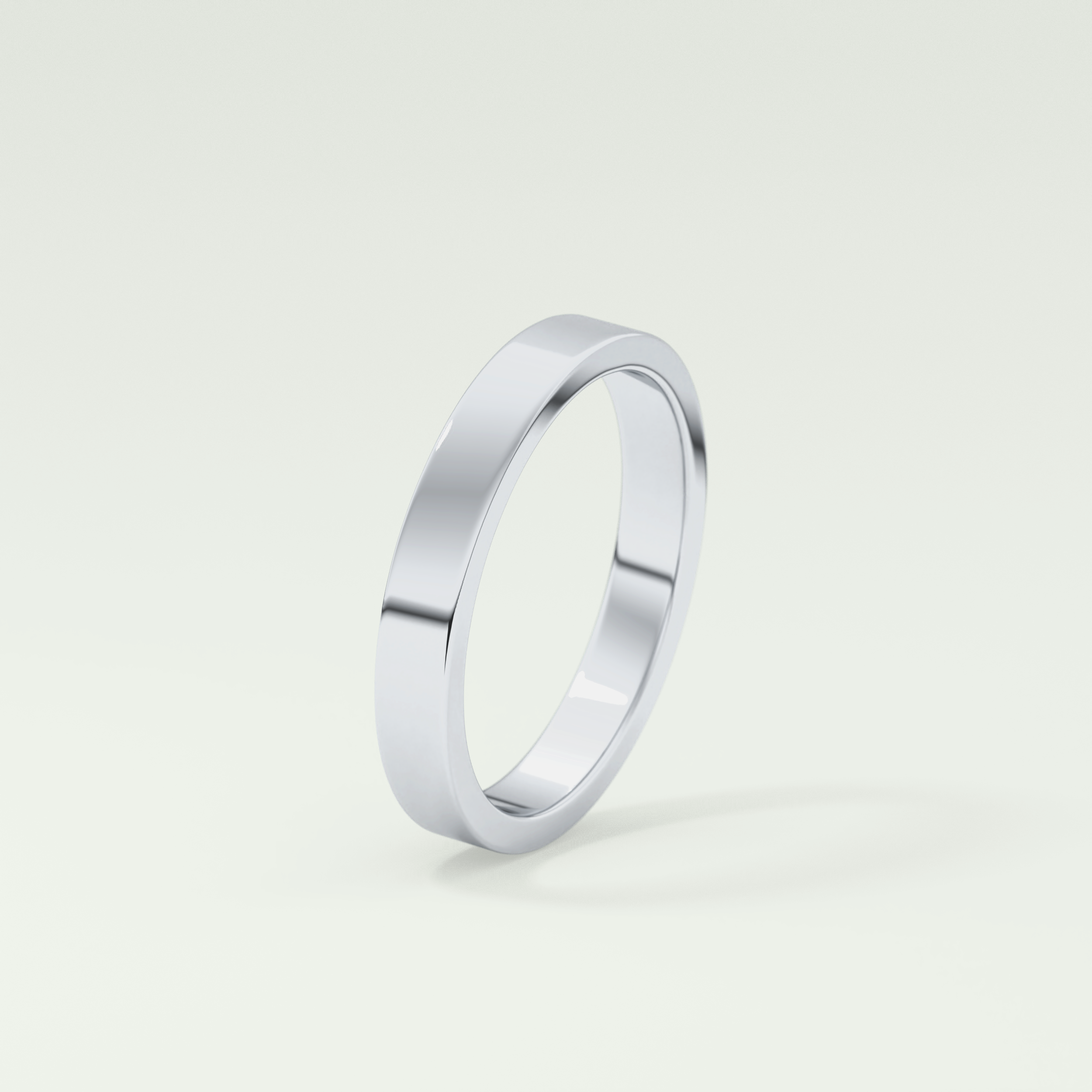 Solid Classic Shank Wedding Band