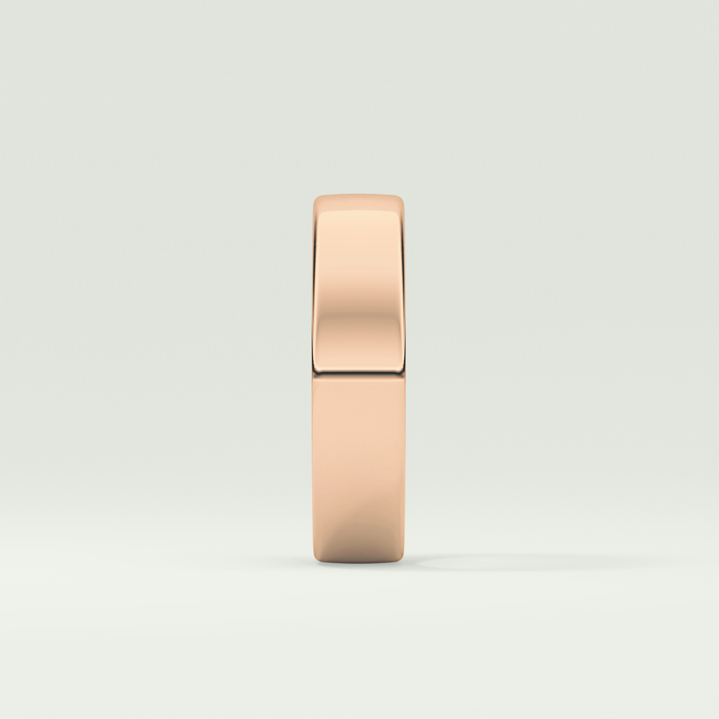 Classic Shank Wedding Band