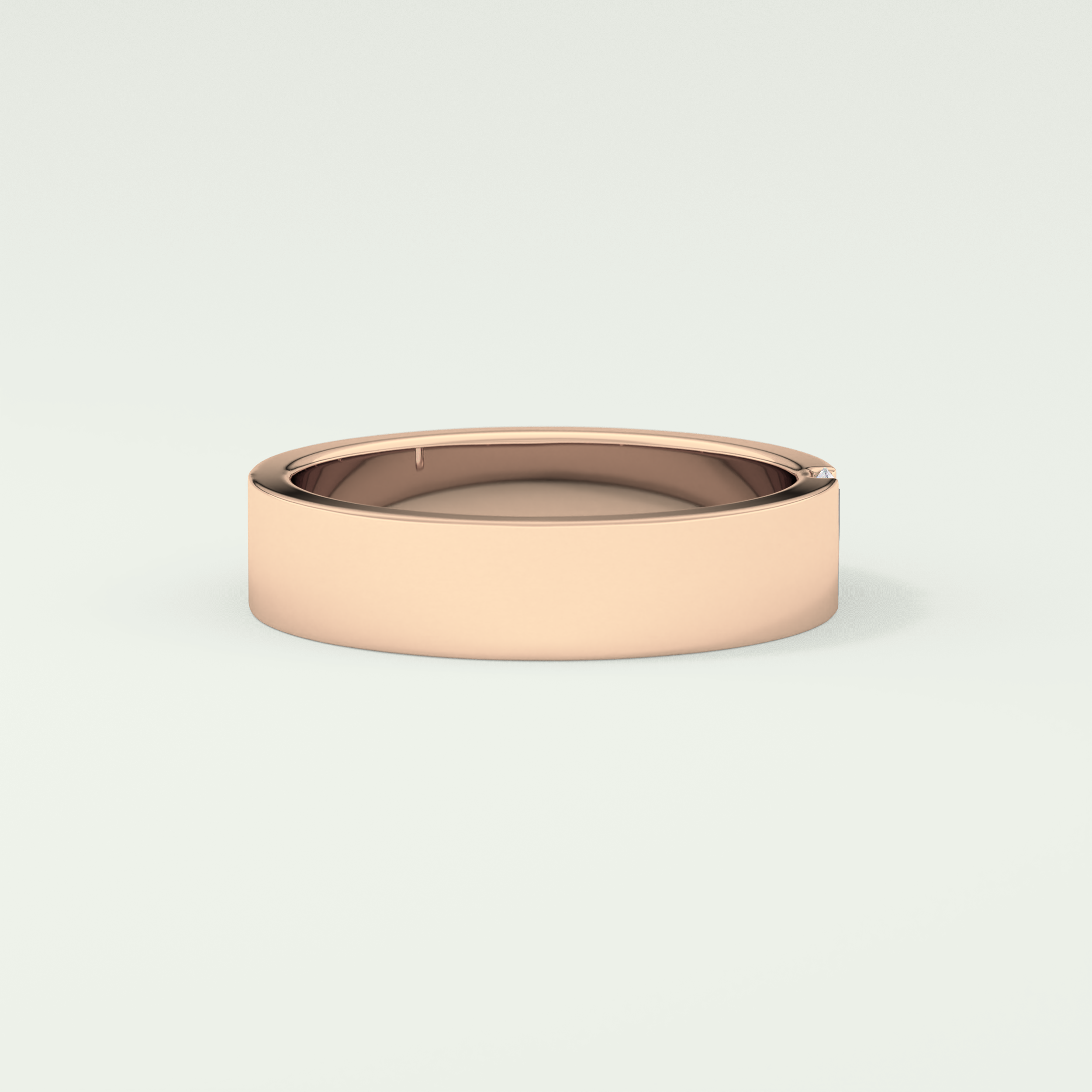 Classic Shank Wedding Band