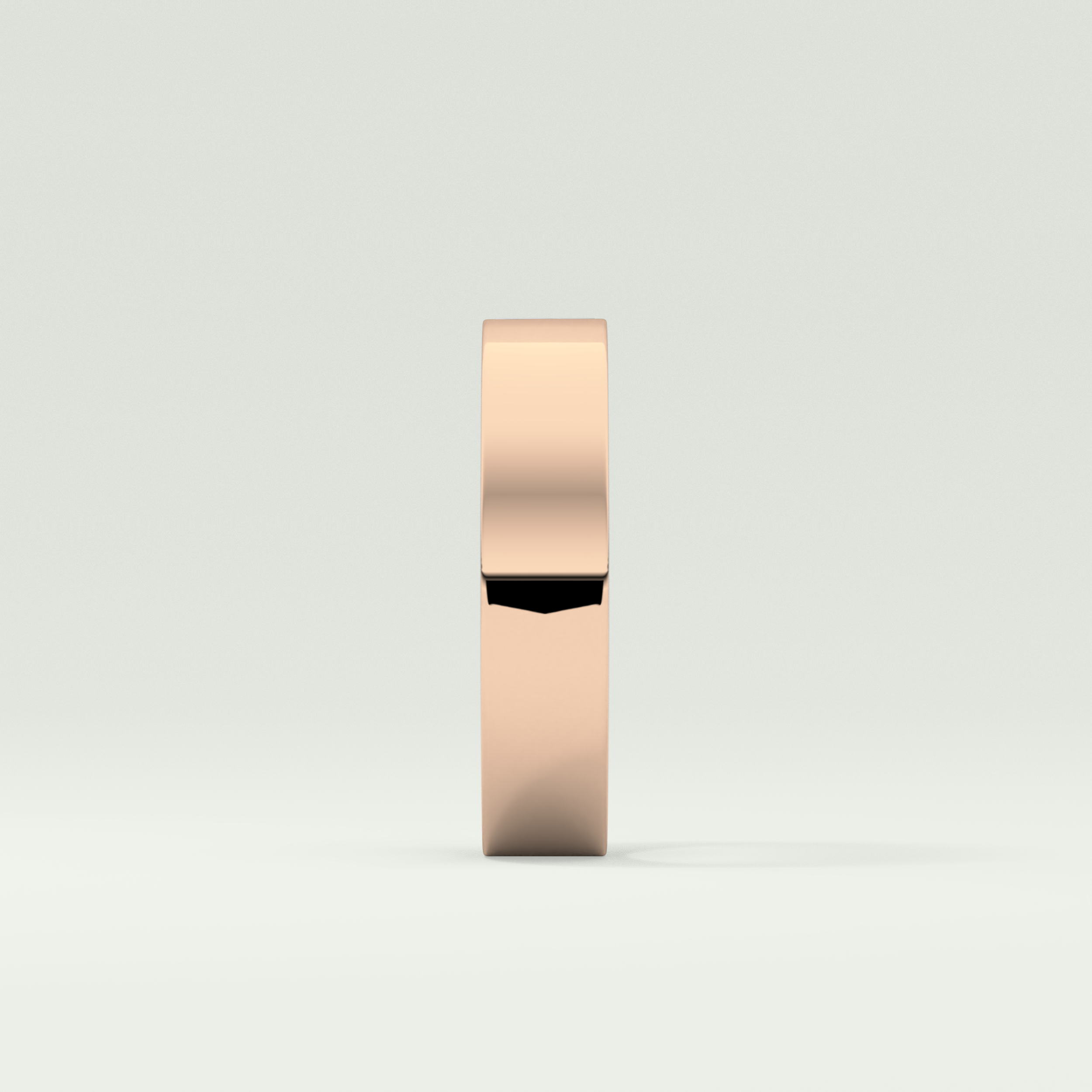 Classic Shank Wedding Band