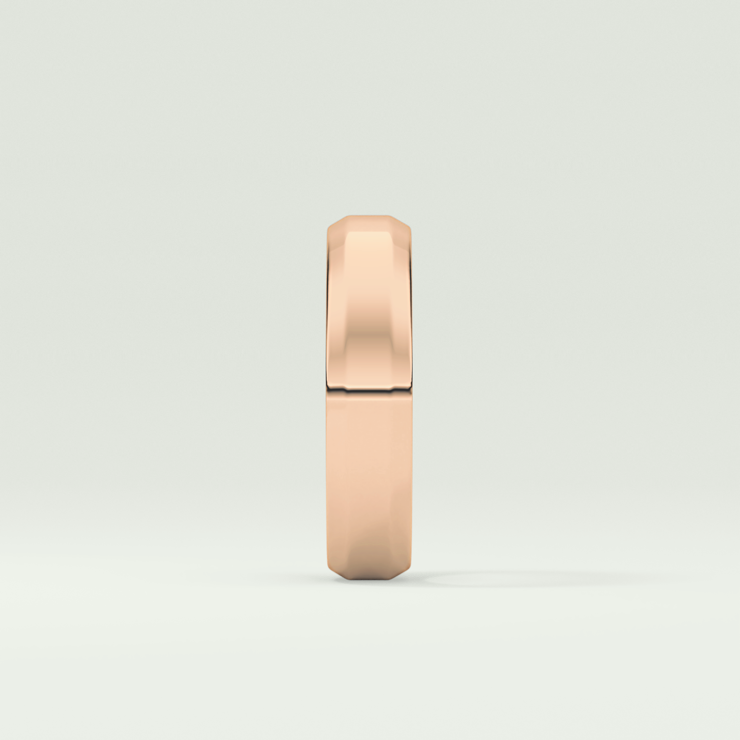 Classic Shank Wedding Band