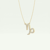 0.108 TCW Round Lab-Grown Diamond Capricon Zodiac Necklace 3