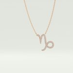 0.108 TCW Round Lab-Grown Diamond Capricon Zodiac Necklace 7