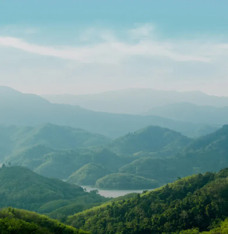 SustainabilityHeroMobile