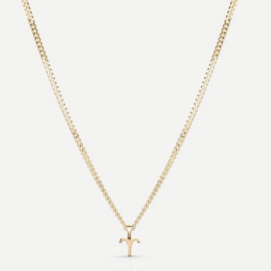 Zodiac Symbol Necklace