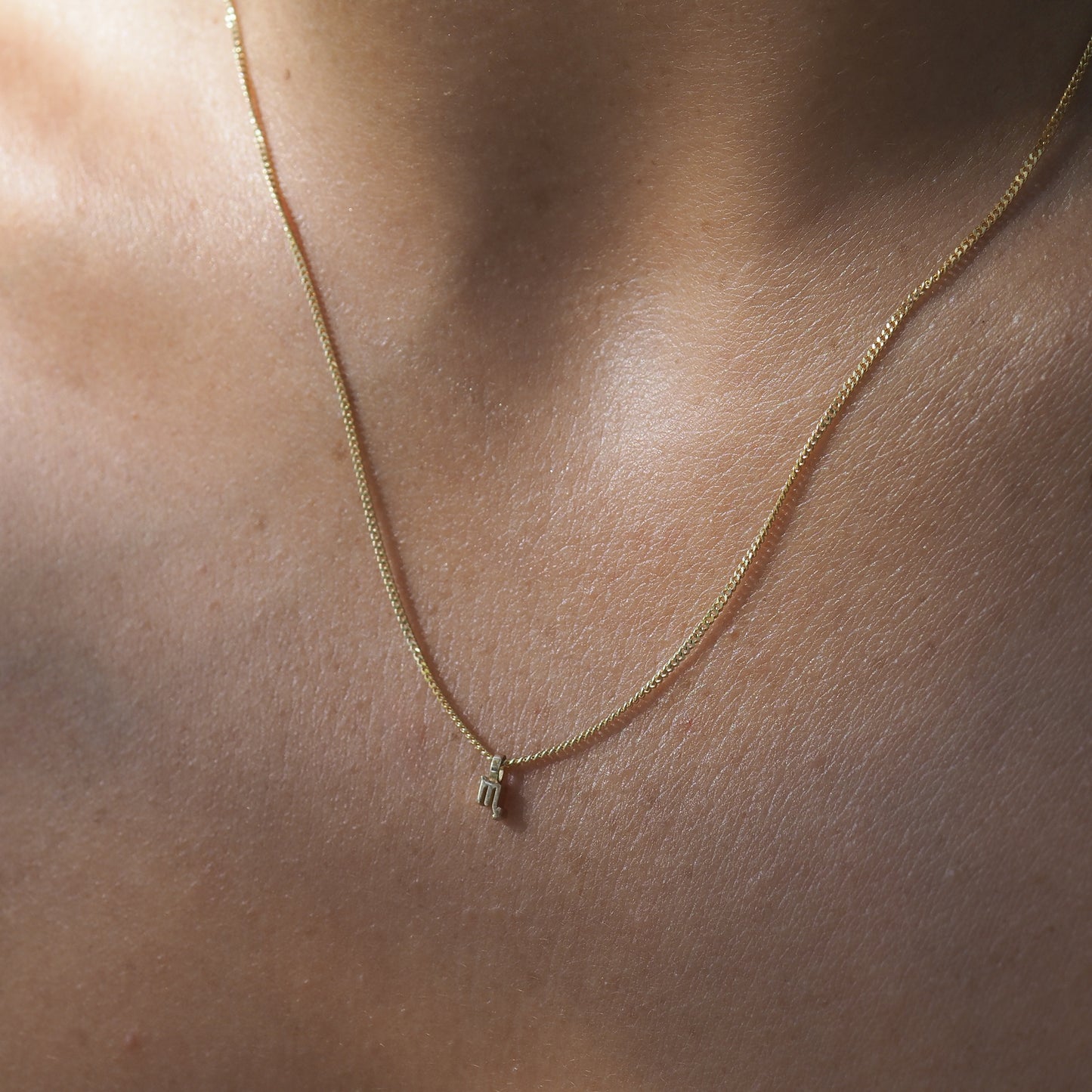 Zodiac Symbol Necklace