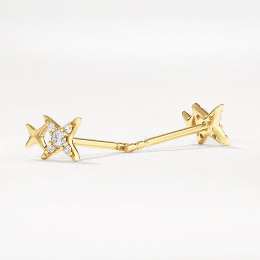 0.08 TCW Round Lab-Grown Diamond Double Star Stud Earring